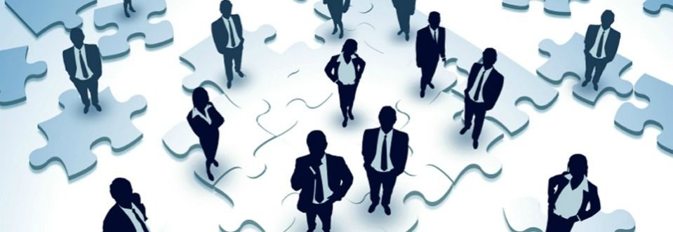 Consulting & Management